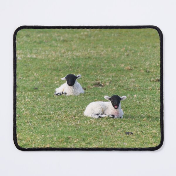Item preview, Two Cute Lambs designed and sold by thelemmingface.