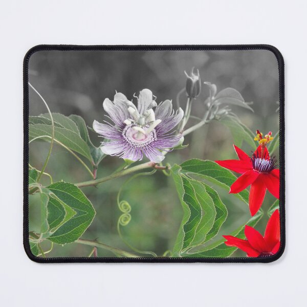 Item preview, Red & Purple Passion Flower Vine Calm Sleep designed and sold by SpiritGifts.