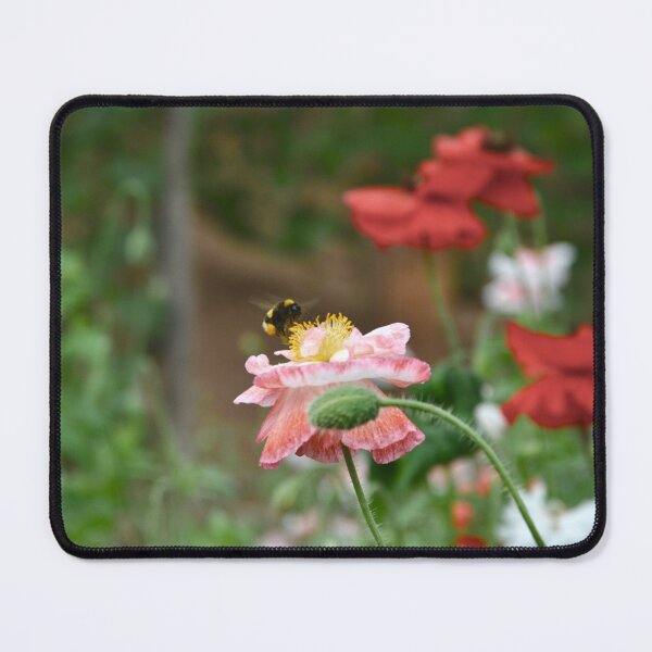 Item preview, Bumble Bee Landing On A Poppy designed and sold by thelemmingface.