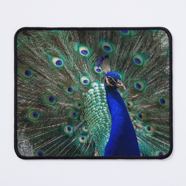 Item preview, Peacock, animal designed and sold by zero-g.