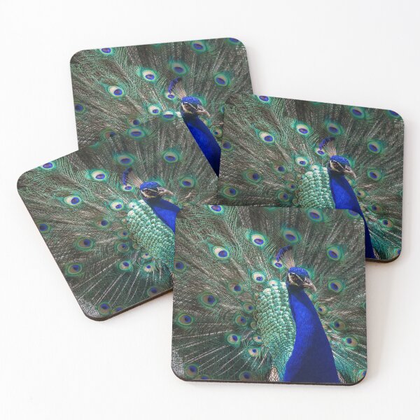 Item preview, Peacock, animal designed and sold by zero-g.