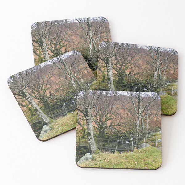 Item preview, Autumn in the Lake District - a wooden bridge across a stream designed and sold by EliSa-1.