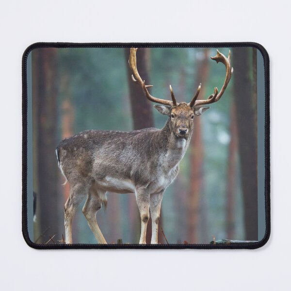 Item preview, Deer, animal, nature designed and sold by zero-g.