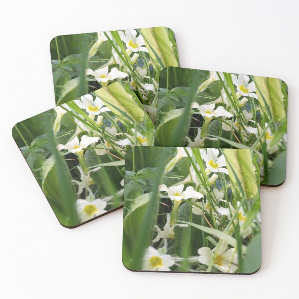 Item preview, White and Yellow Primrose Flowers designed and sold by thelemmingface.