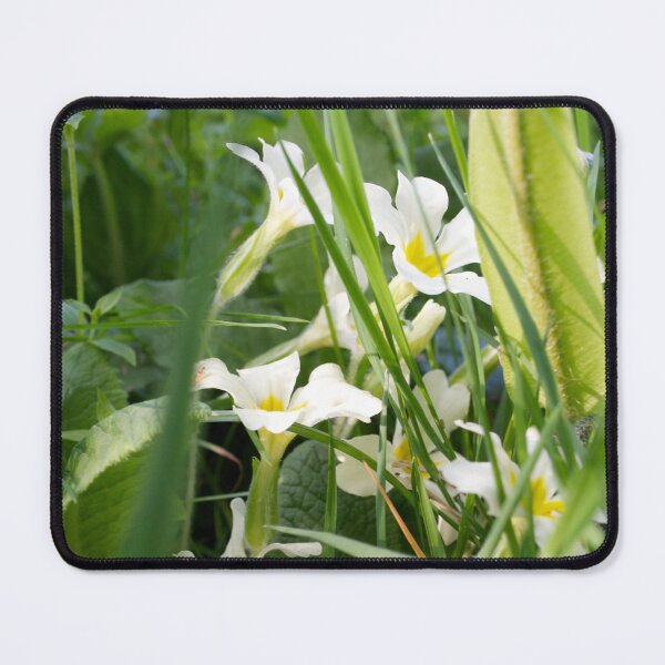 Item preview, White and Yellow Primrose Flowers designed and sold by thelemmingface.