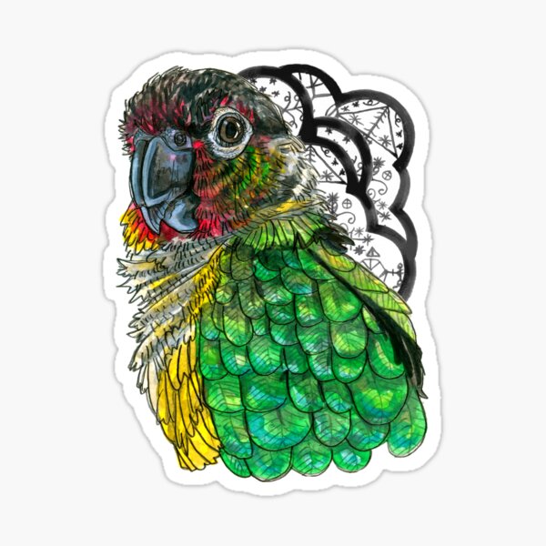 Green Cheeked Conure Sticker