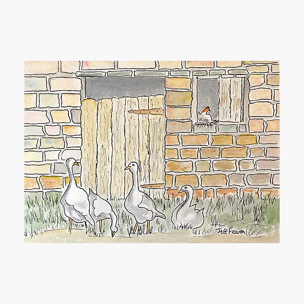 GEESE Photographic Print