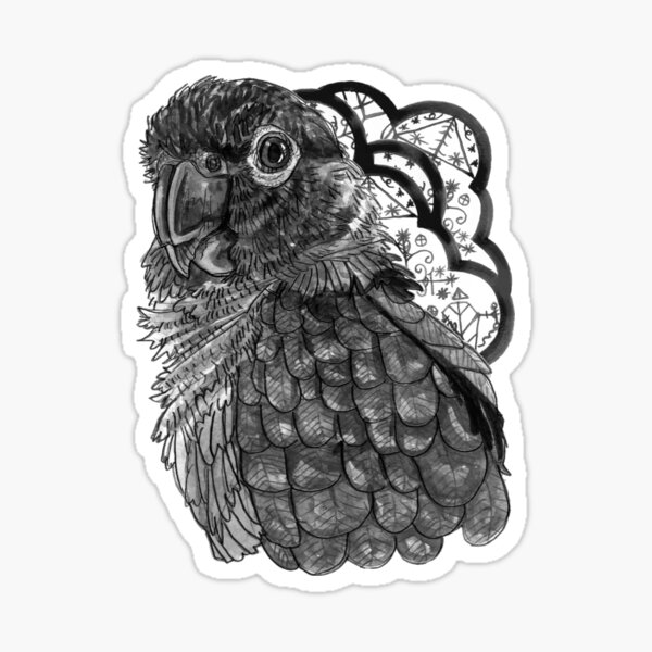 Greyscale Conure Sticker