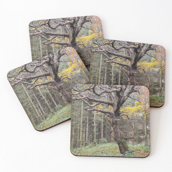 Item preview, Knockmany Forest Autumn designed and sold by Adrian McGlynn.