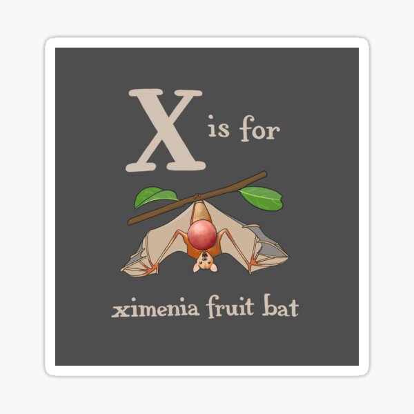 X is for Ximenia Fruit Bat Sticker