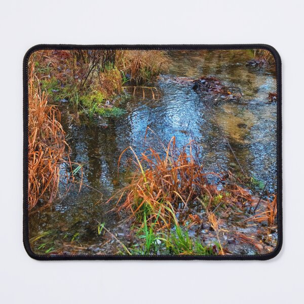 Item preview, Mountain Thicket, Small Stream, Autumn designed and sold by AMacGPhilly.