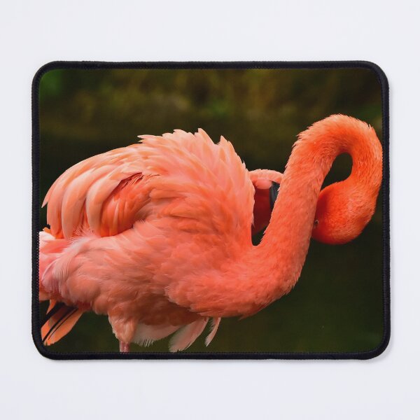 Item preview, Flamingo designed and sold by Irene168.