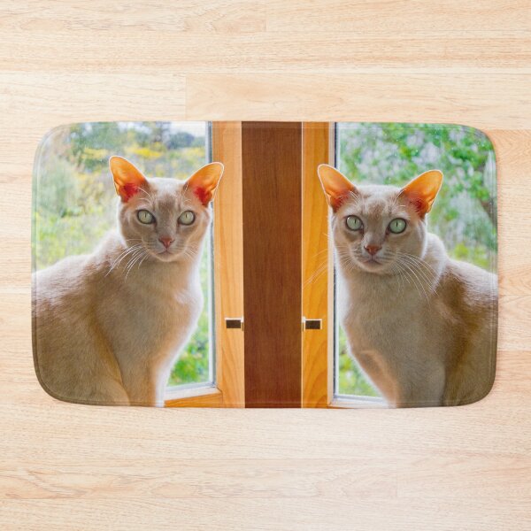 Item preview, Burmese cats in window designed and sold by Jenny Setchell.