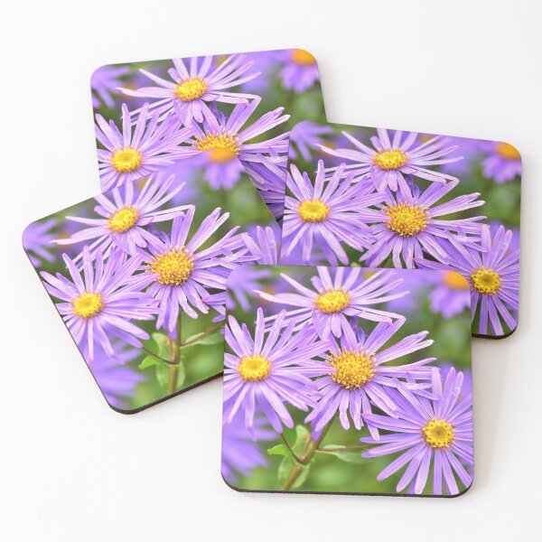 Item preview, Aster designed and sold by Irene168.