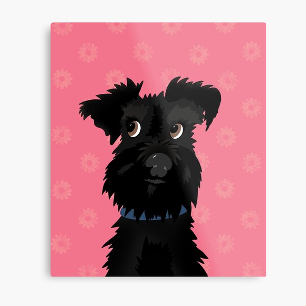 Cartel Letrero de Chapa Raza Schnauzer