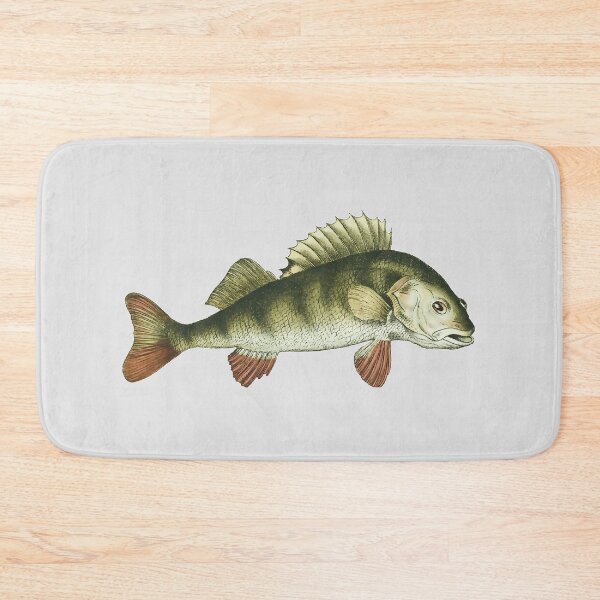 Item preview, Perch from a book on Freshwater Fish of Canada. Pub. 1897 designed and sold by IXXIN.