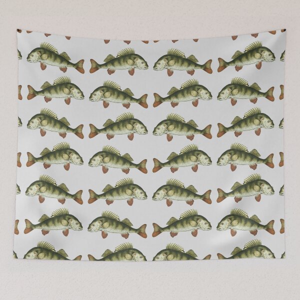 Item preview, Perch from a book on Freshwater Fish of Canada. Pub. 1897 designed and sold by IXXIN.