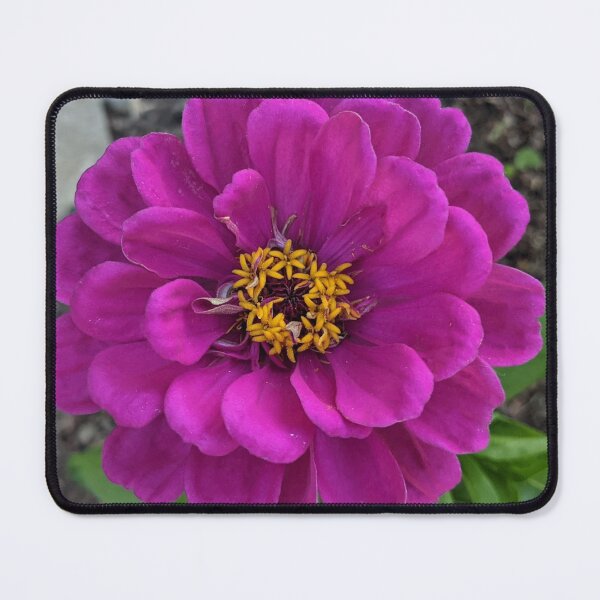 Item preview, Pink Ruffled Flower Photographic Image designed and sold by AustaArt.