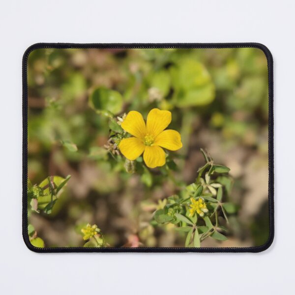 Item preview, Tiny Yellow Flower Photographic Image designed and sold by AustaArt.
