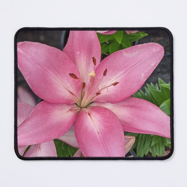 Item preview, Big Pink Flower Photographic Image designed and sold by AustaArt.