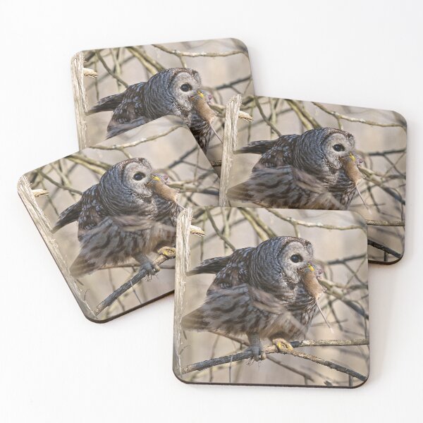 Item preview, Barred Owl designed and sold by Owl-Images.