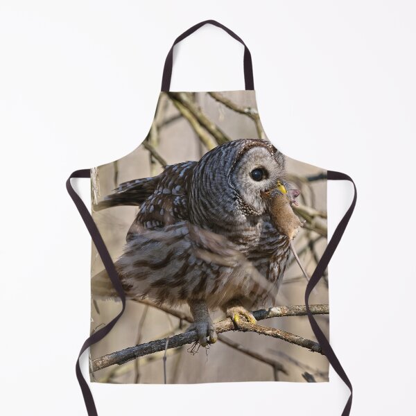 Item preview, Barred Owl designed and sold by Owl-Images.