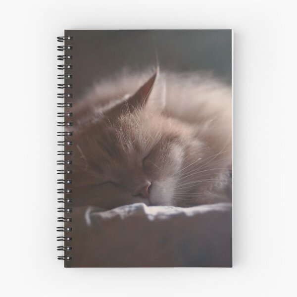 Item preview, Afternoon nap for a Siberian cat designed and sold by Pino 'Delfino' Esposito.