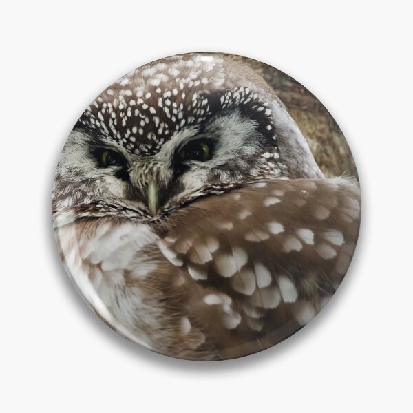 Item preview, Boreal Owl designed and sold by Owl-Images.