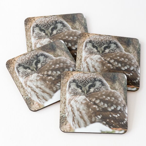 Item preview, Boreal Owl designed and sold by Owl-Images.
