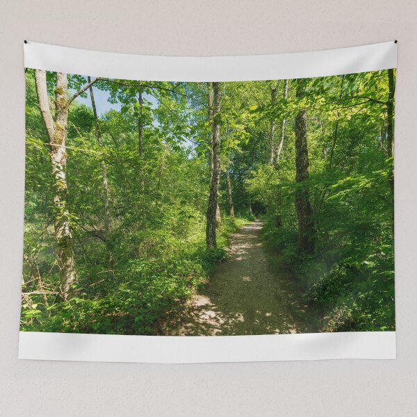 Item preview, Forest path designed and sold by Lexpixelart.