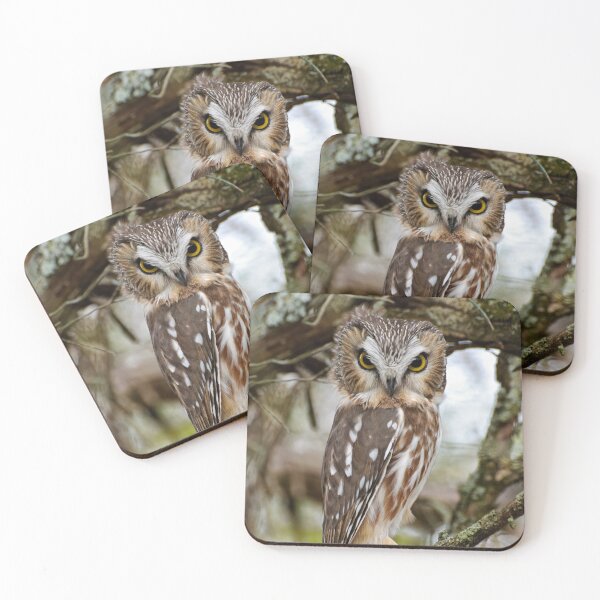 Item preview, Northern Saw-whet Owl designed and sold by Owl-Images.