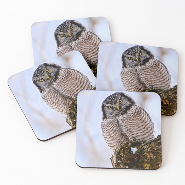 Item preview, Northern Hawk Owl designed and sold by Owl-Images.