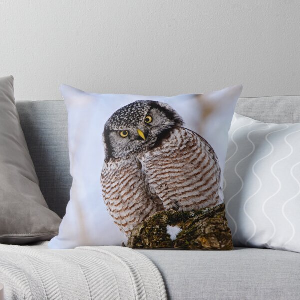 Artikelvorschau, Northern Hawk Owl entworfen und verkauft von Owl-Images.