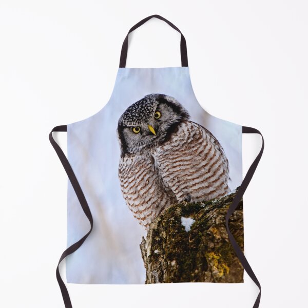 Item preview, Northern Hawk Owl designed and sold by Owl-Images.