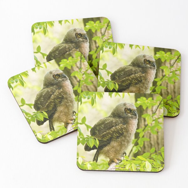 Item preview, Great Horned Owl designed and sold by Owl-Images.