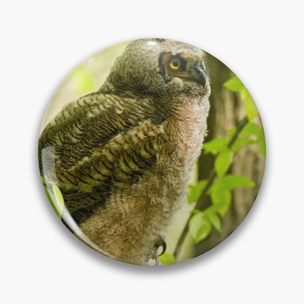 Item preview, Great Horned Owl designed and sold by Owl-Images.
