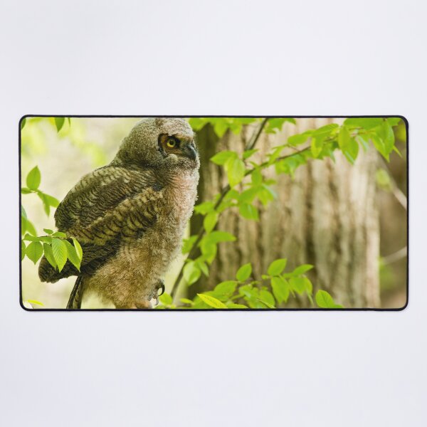 Item preview, Great Horned Owl designed and sold by Owl-Images.