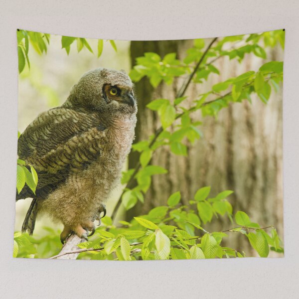 Item preview, Great Horned Owl designed and sold by Owl-Images.