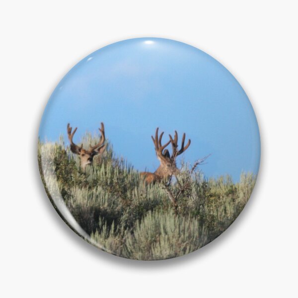 Item preview, Summer mule deer bucks designed and sold by Saltypro.