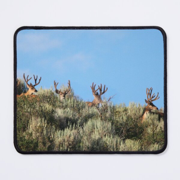 Item preview, Summer mule deer bucks designed and sold by Saltypro.