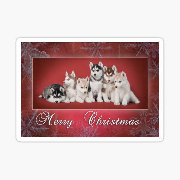 Item preview, Siberian Husky Christmas greeting card designed and sold by PetsArt.