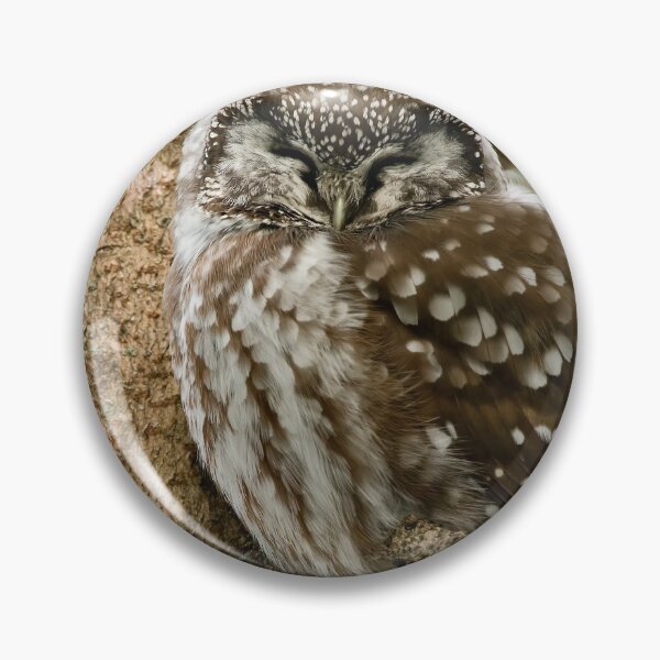 Artikelvorschau, Boreal Owl entworfen und verkauft von Owl-Images.
