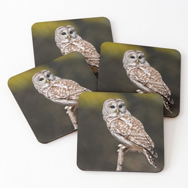 Item preview, Barred Owl designed and sold by Owl-Images.