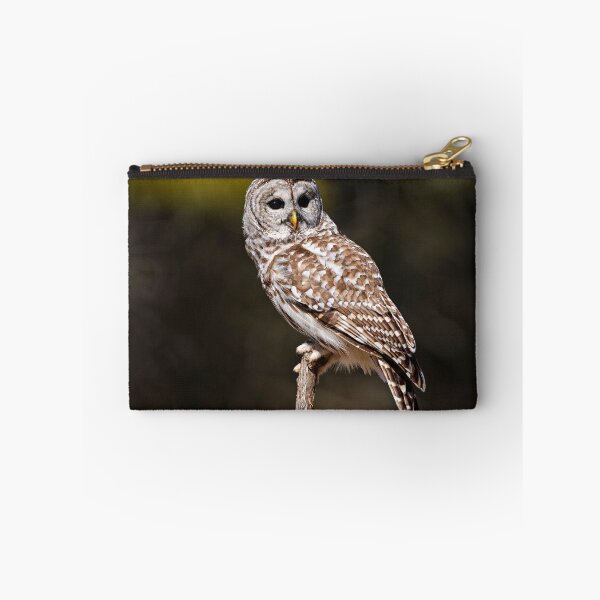 Item preview, Barred Owl designed and sold by Owl-Images.