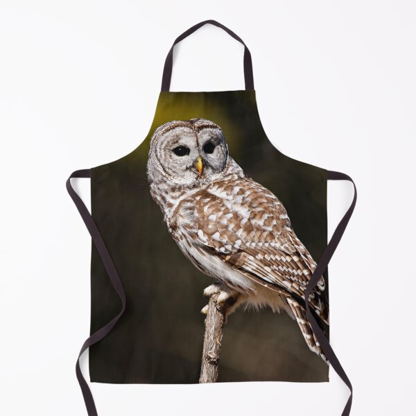 Item preview, Barred Owl designed and sold by Owl-Images.