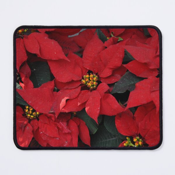 Item preview, Red and Vibrant Poinsettia! designed and sold by NancyKHajjar.
