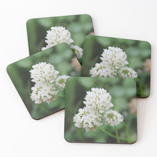Item preview, White Clover Photographic Image designed and sold by AustaArt.