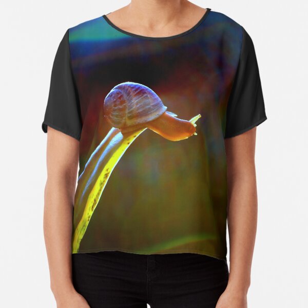 adventure Chiffon Top