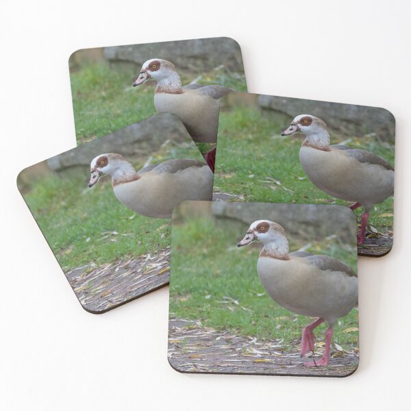 Item preview, Egyptian Goose designed and sold by LaurenTucker.