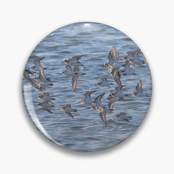 Item preview, Dunlin designed and sold by LaurenTucker.